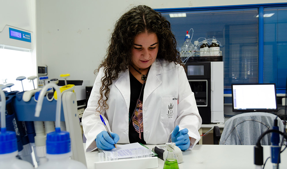 Imagen del artículo Científicos andaluces generan biohidrógeno a partir de lodos y desechos del vino tratados con ozono